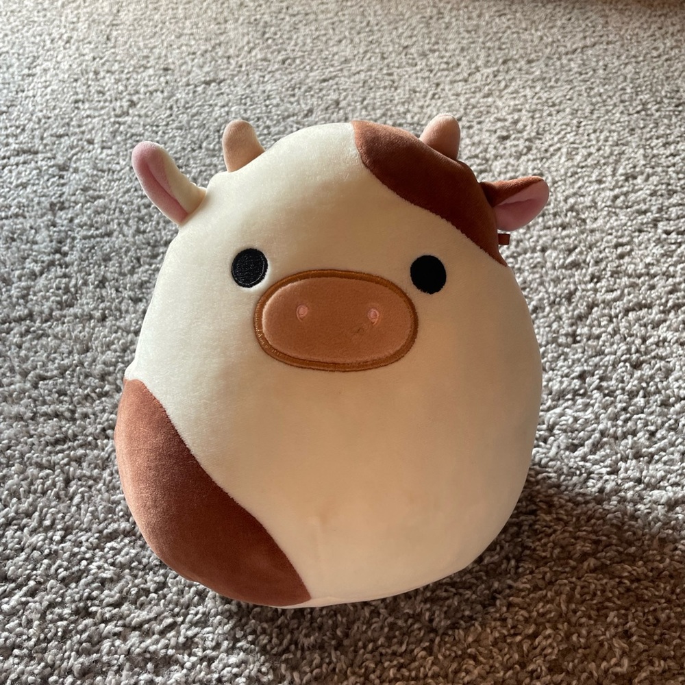 Ronnie 8inch squishmallow. no tag.